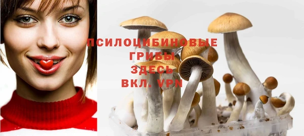 сатива Володарск