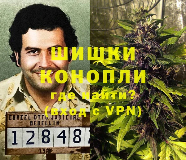 сатива Володарск