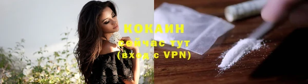 сатива Володарск
