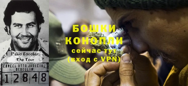сатива Володарск